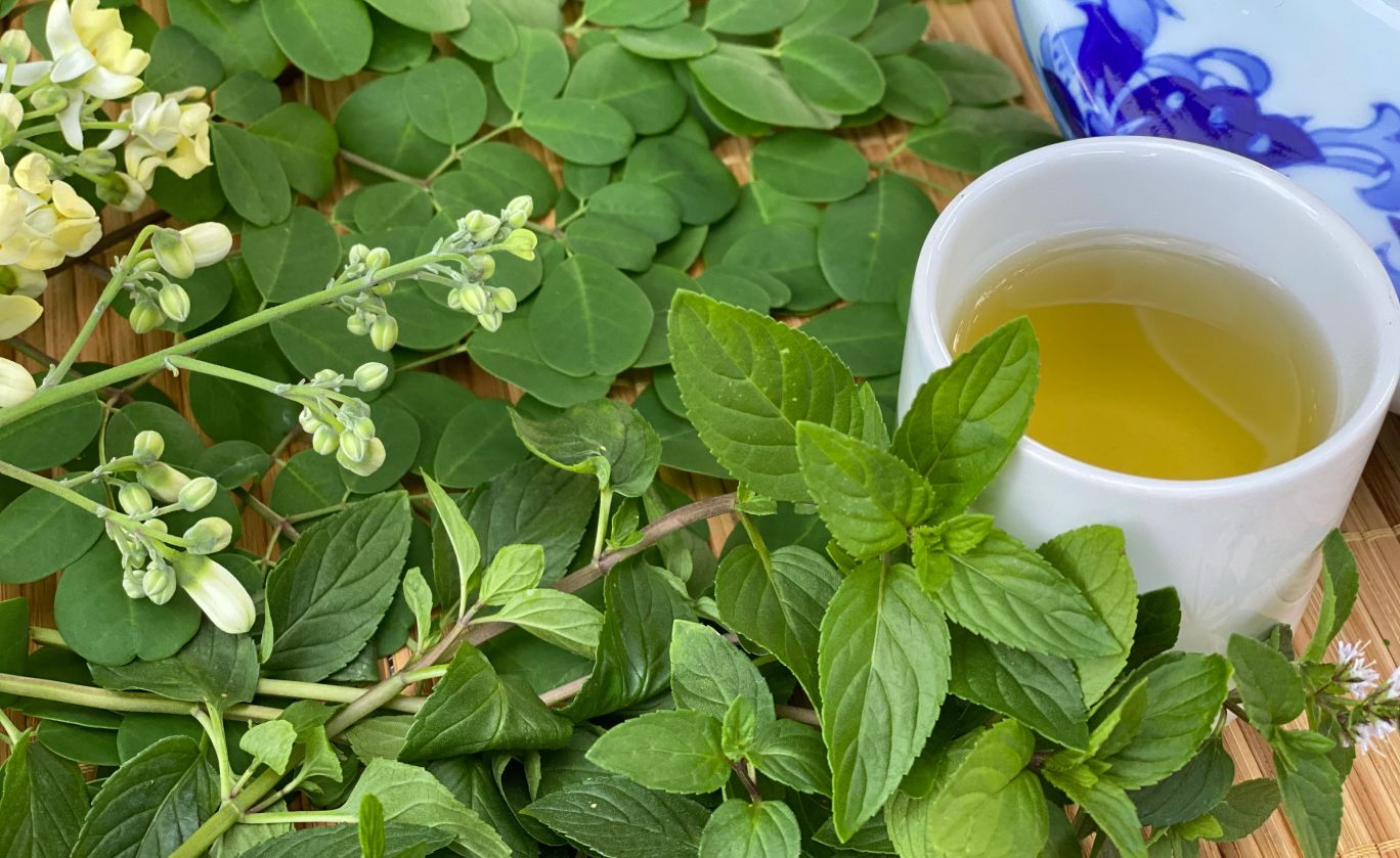 Moringa çayı nedir? Moringa çayının faydaları ve zararları nelerdir? Moringa çayı nasıl demlenir?